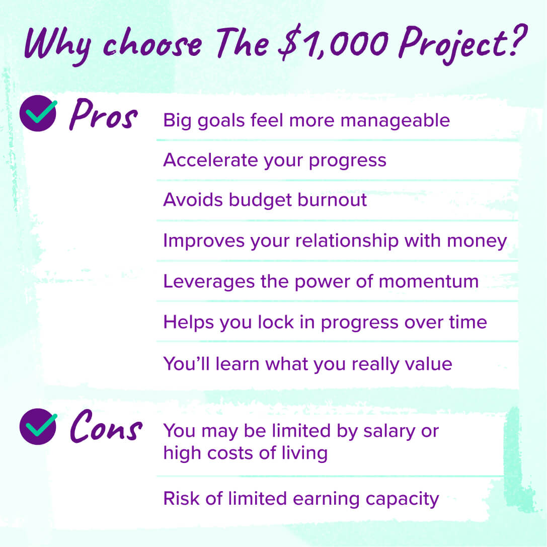 The pros and cons of The $1,000 Project