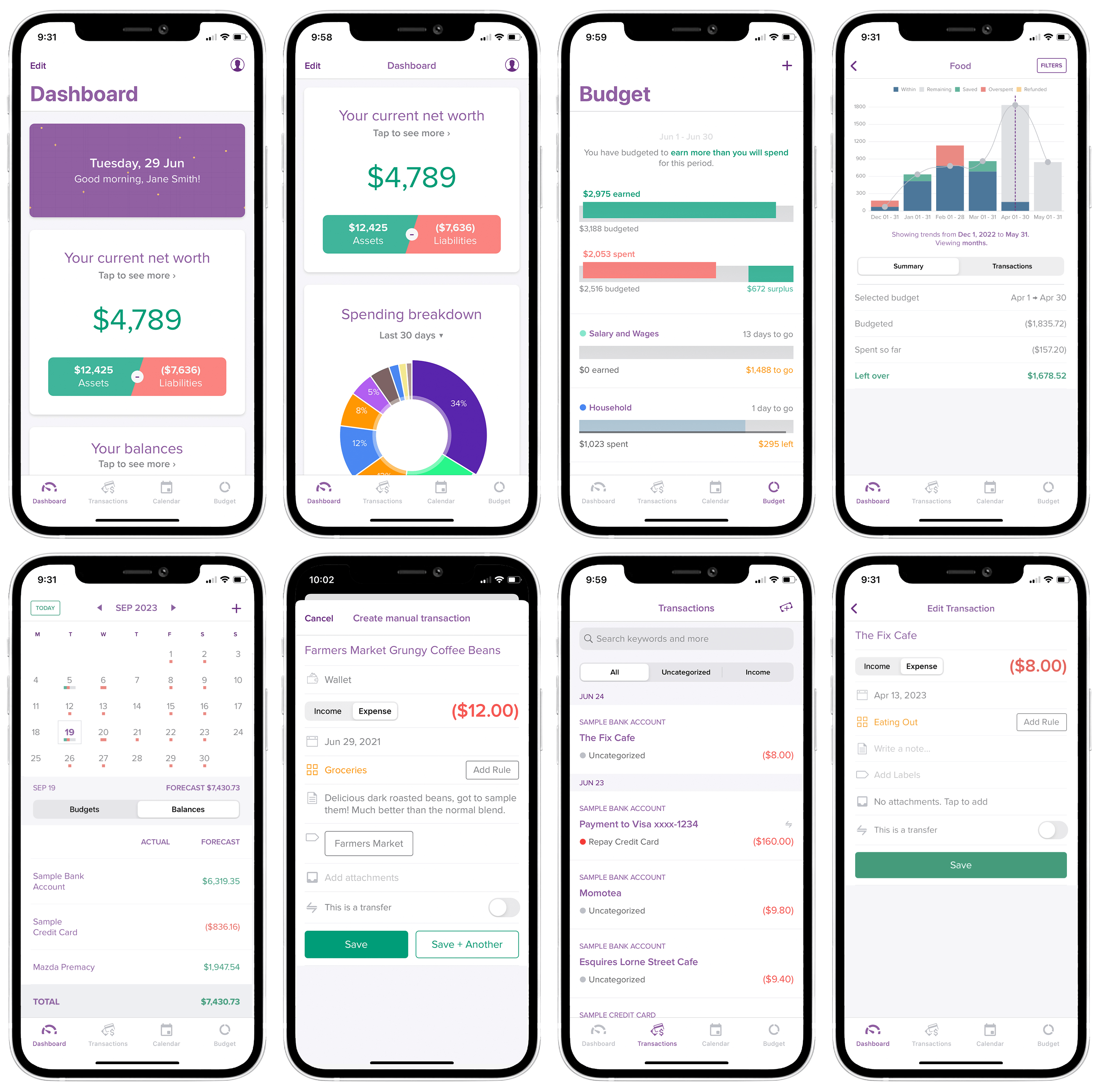 PocketSmith native iOS application, as at 2024.